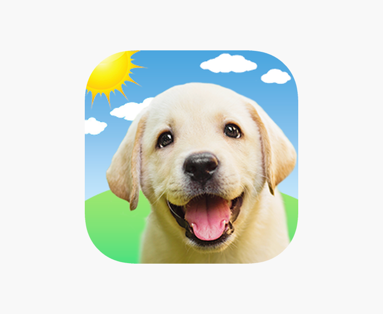 Weather Puppy