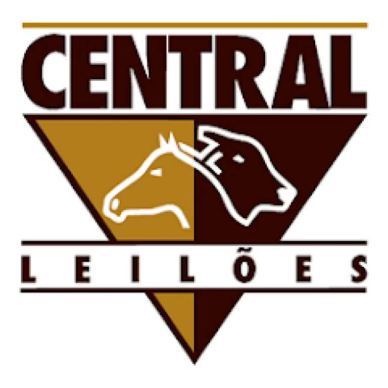 Central Leilões