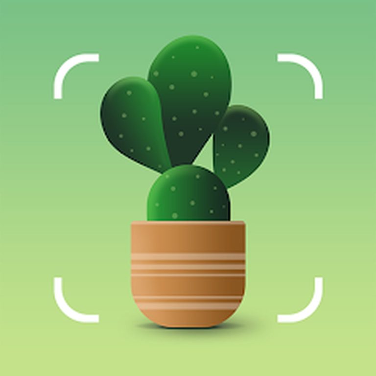 NatureID – Identificar plantas