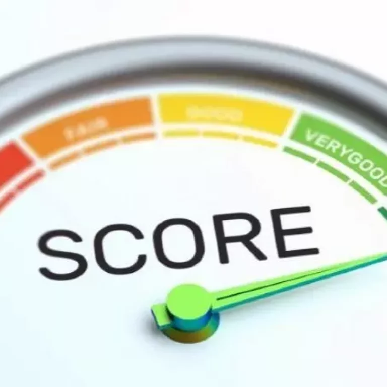 Entenda o que é Score e como saber sua pontuação