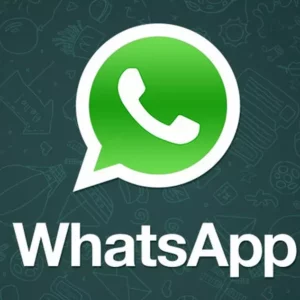 Como ver o status do WhatsApp escondido?