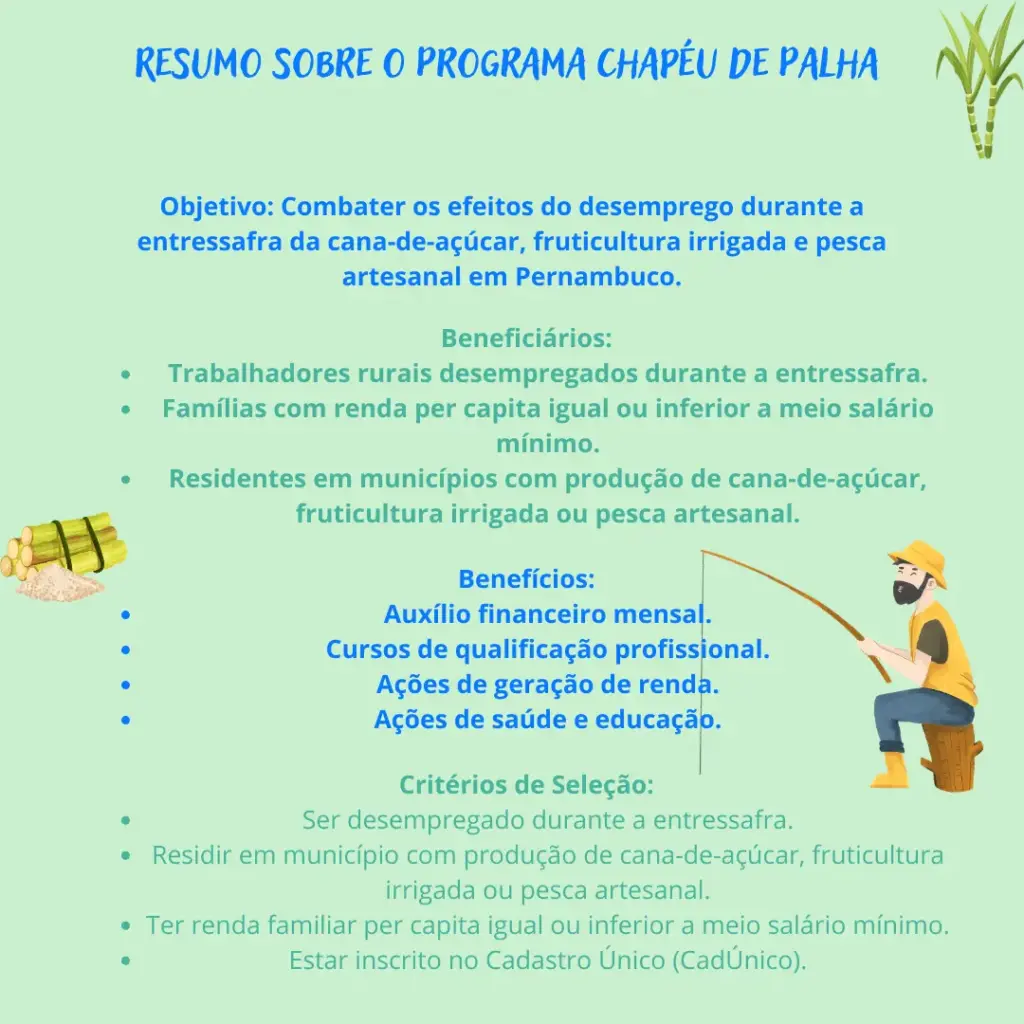 Resumo do Programa Chapéu de Palha 