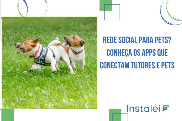 Rede social para pets? Conheça os apps que conectam tutores e pets