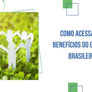 Como Acessar os Benefícios do Governo Brasileiro