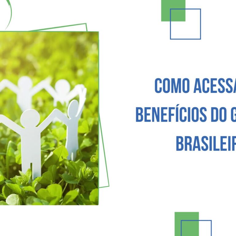 Como Acessar os Benefícios do Governo Brasileiro